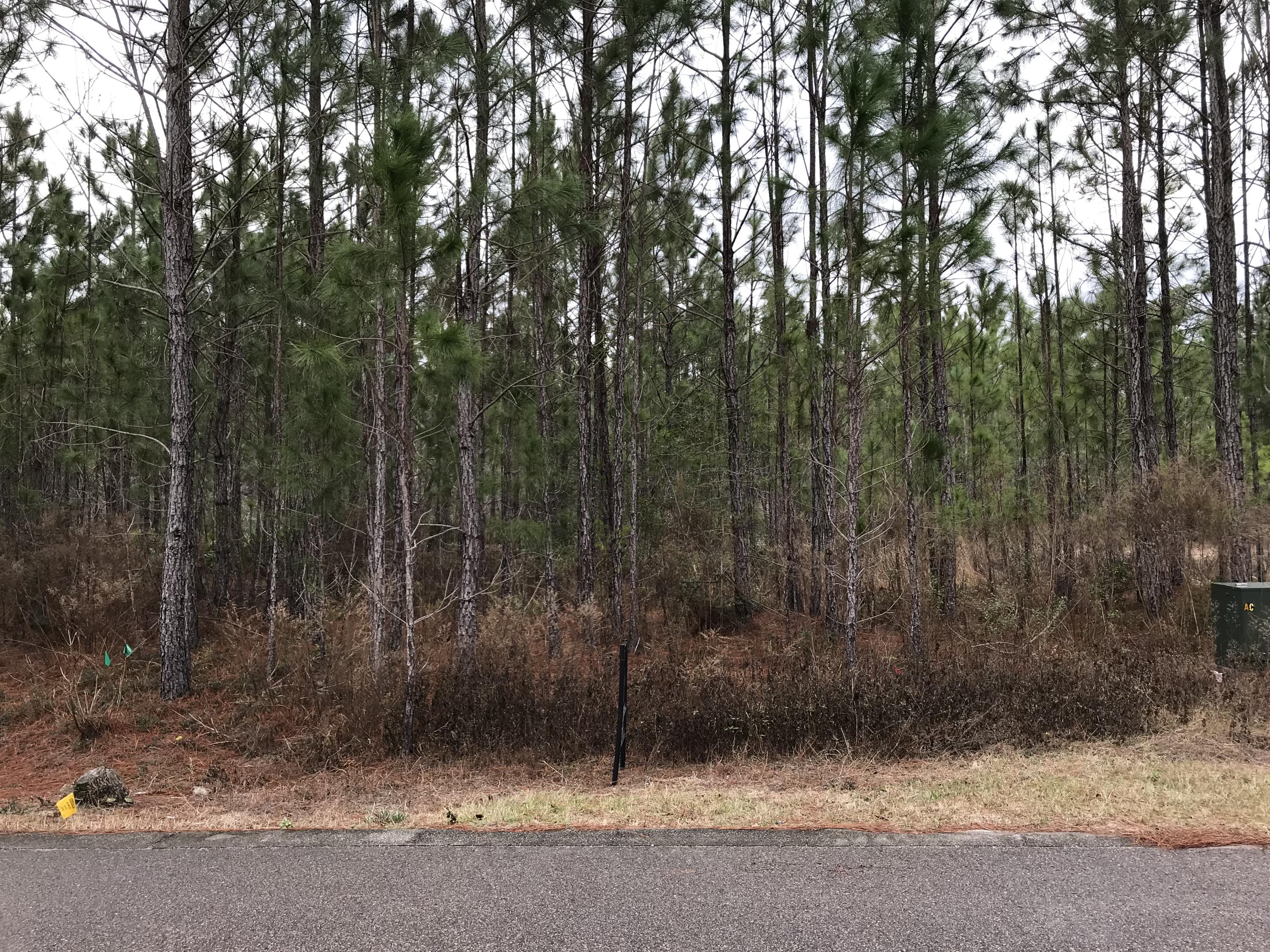 Lot 12 Spotted Dolphin Road Santa Rosa Beach, FL 32459 - Photo 3 of 6 a view of a forest