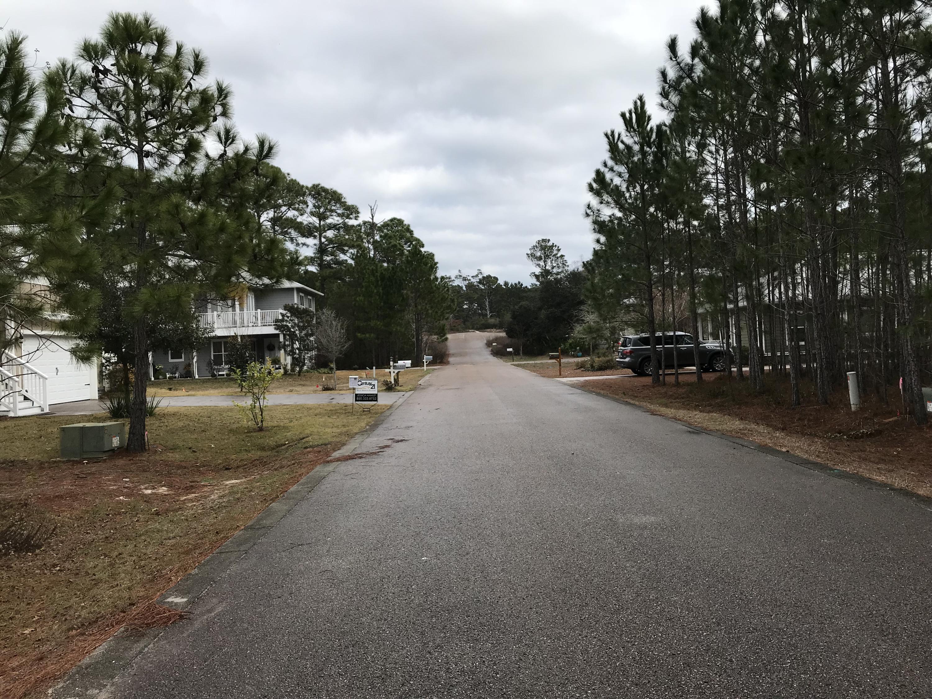 Lot 12 Spotted Dolphin Road Santa Rosa Beach, FL 32459 - Photo 5 of 6 a view of a street with trees