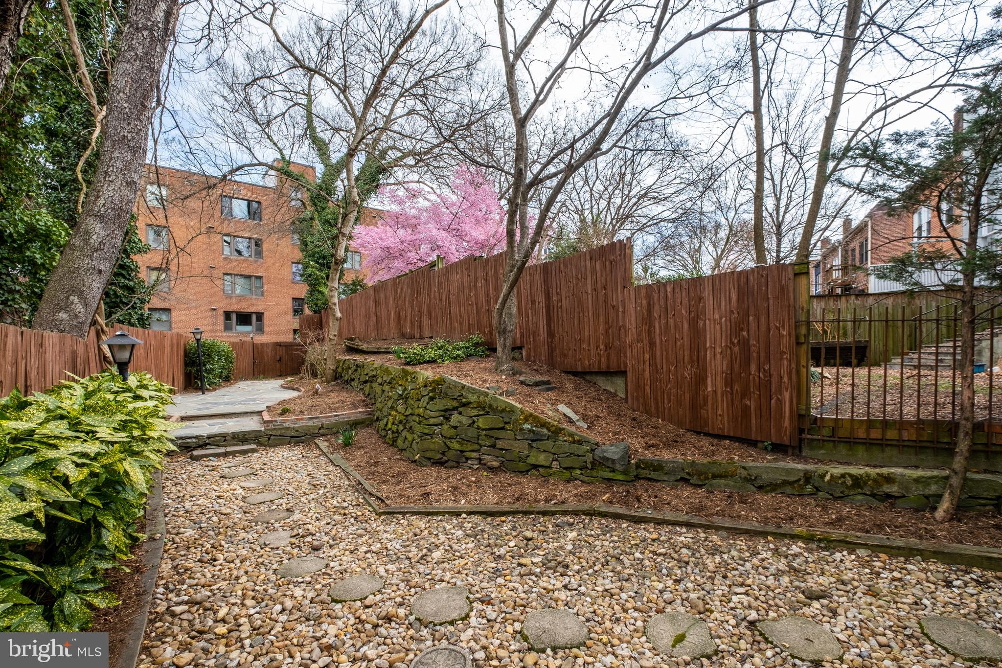 4843 Reservoir Road Northwest Washington, DC 20007 - Photo 23 of 25 Level Yard