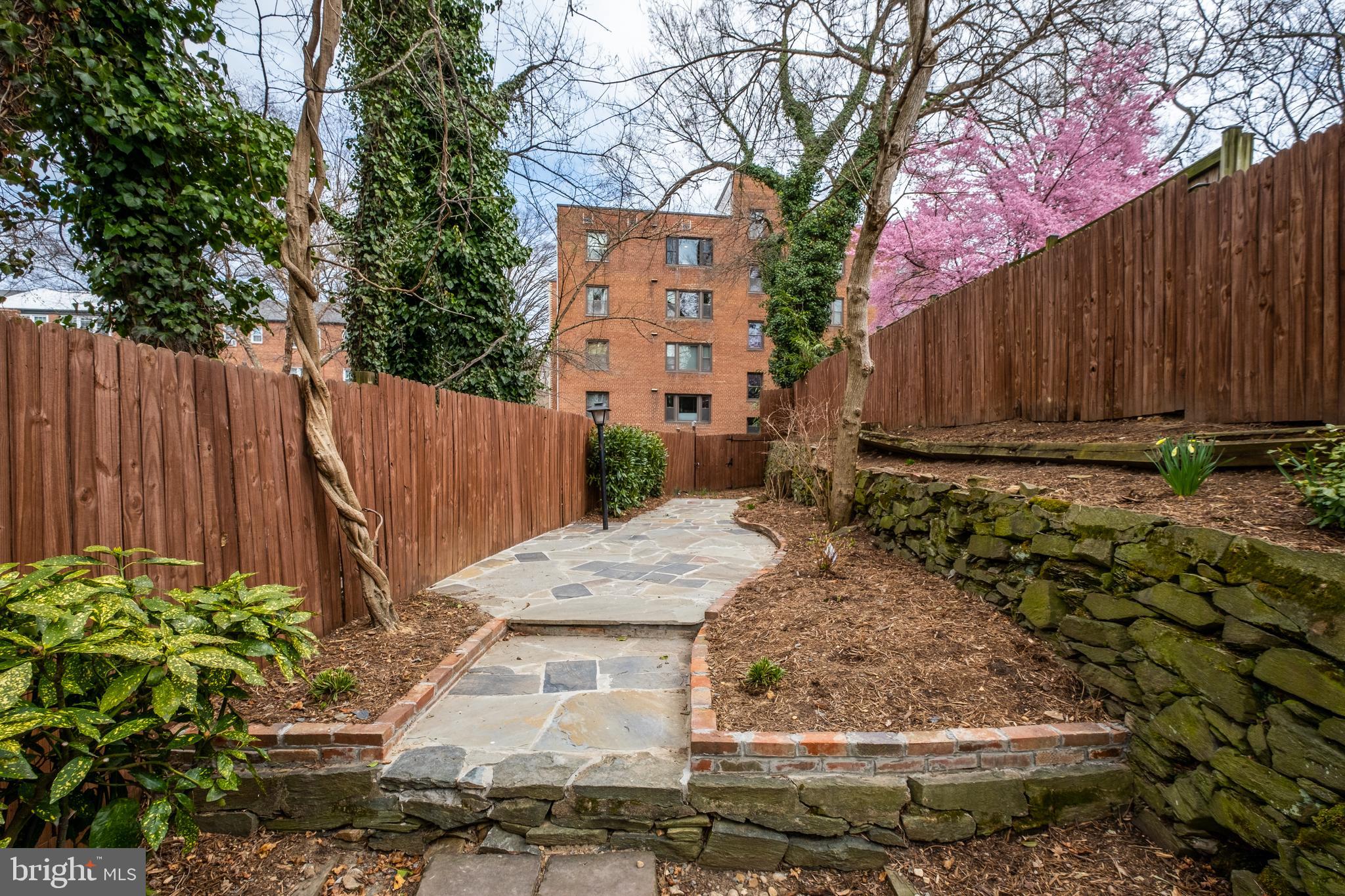 4843 Reservoir Road Northwest Washington, DC 20007 - Photo 24 of 25 Low maintenance Yard
