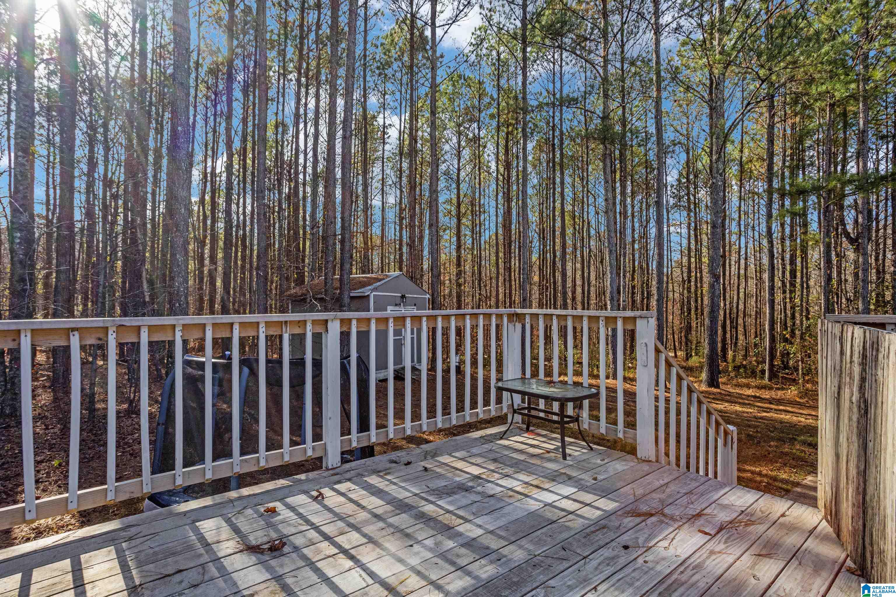 35 Hidden Circle Hayden, AL 35079 - Photo 23 of 28