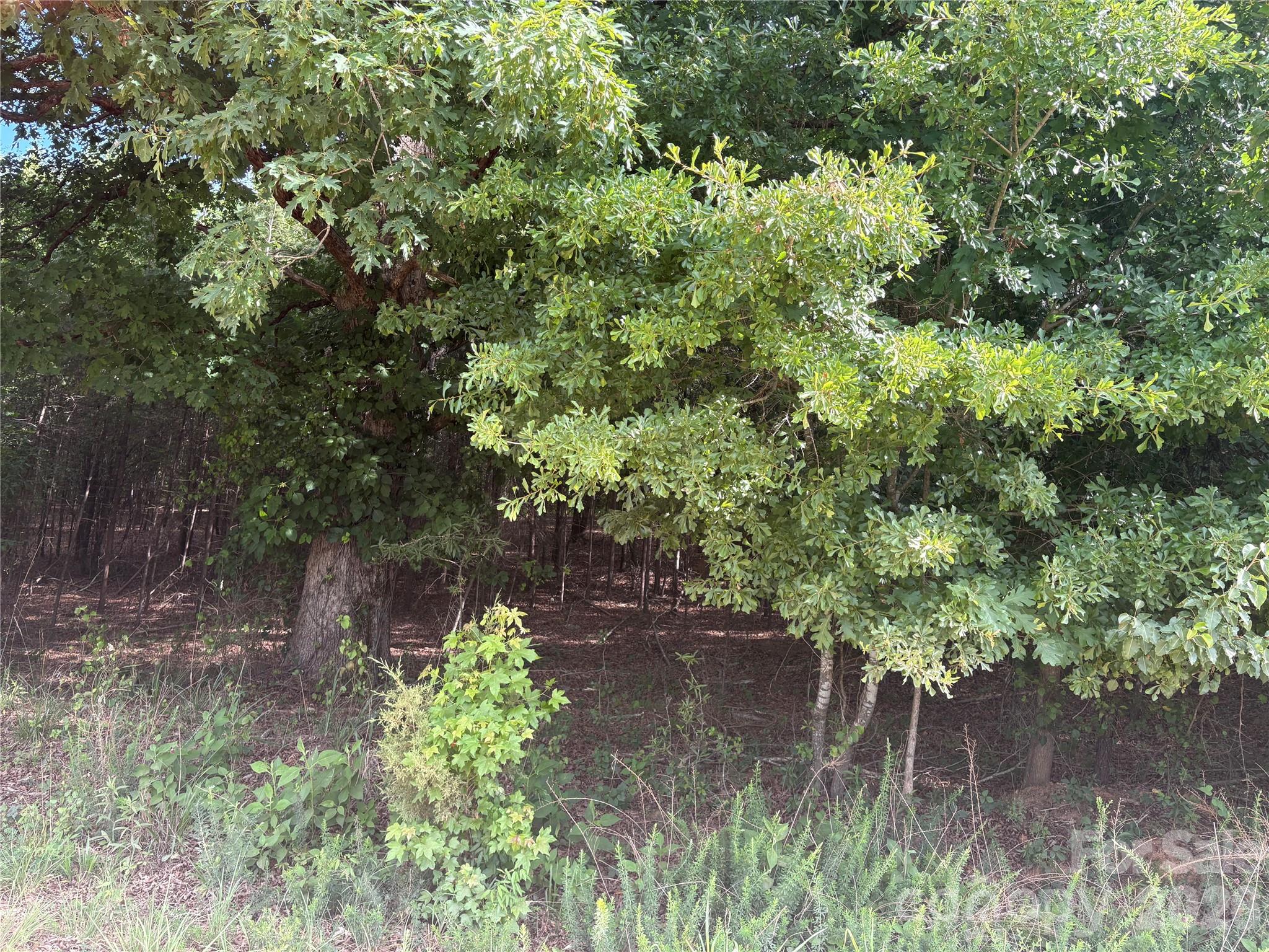 0 Clearwater Road Shelby, NC 28152 - Photo 10 of 20