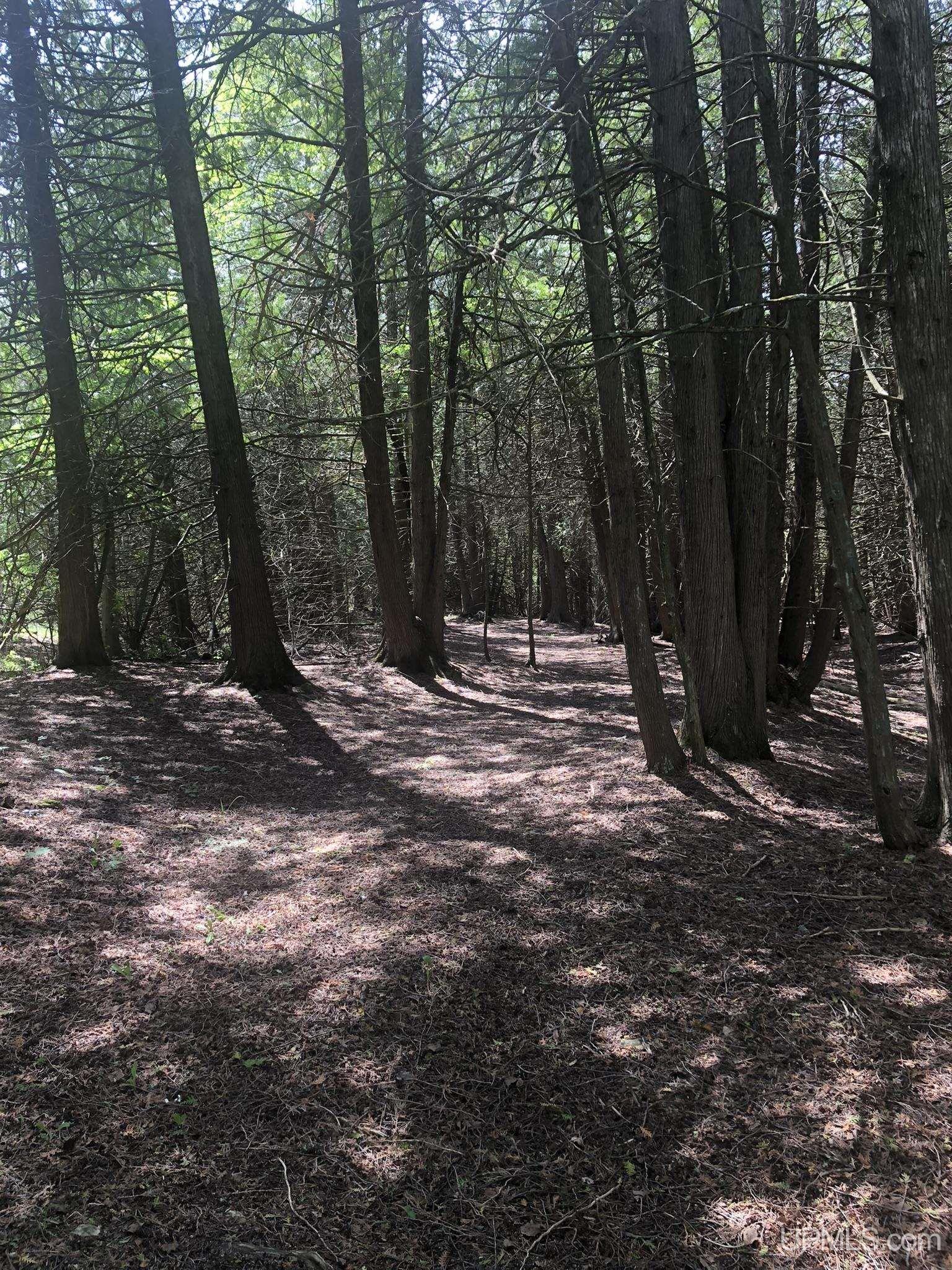 7975 25 Rd Garden Garden, MI 49835 - Photo 81 of 98