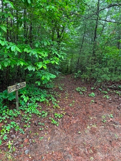35-36 Big Sky Road Ferguson, NC 28624 - Photo 5 of 23 a view of a large yard with lots of green space