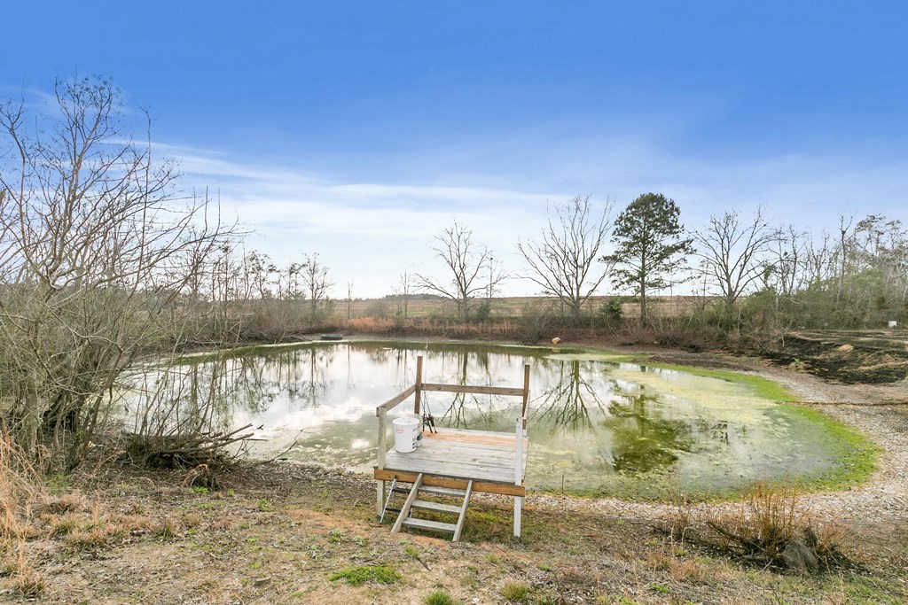 6610 Hodgesville Road Dothan, AL 36301 - Photo 12 of 35