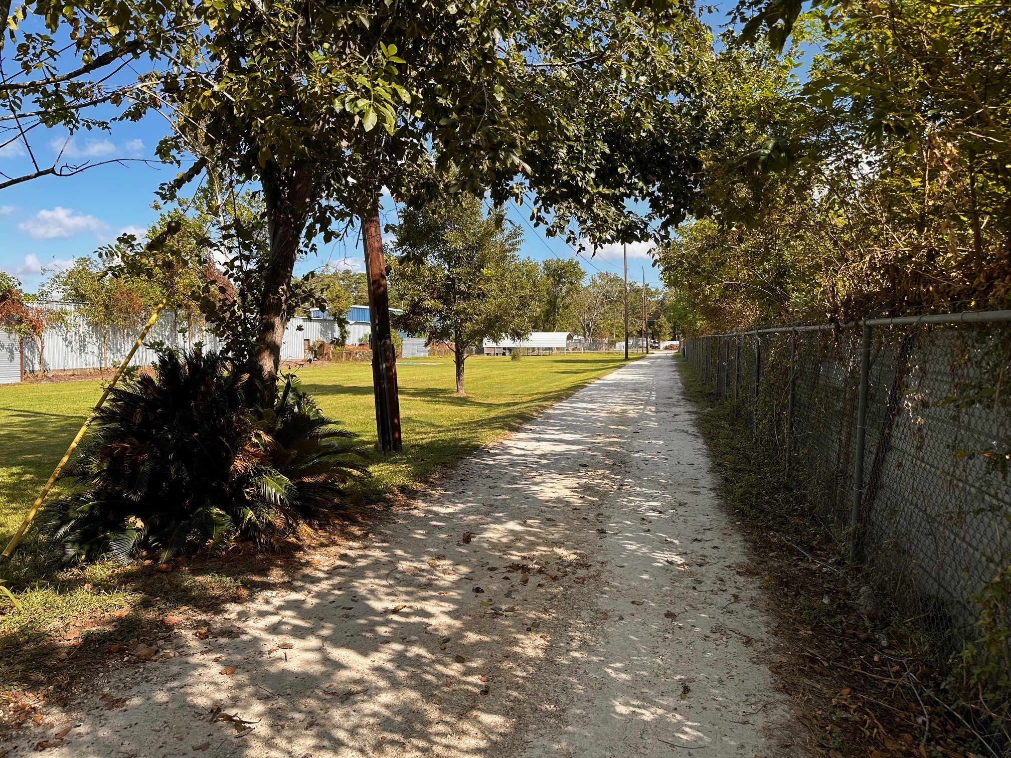 404 Gulf Bank Road Houston, TX 77037 - Photo 20 of 23 a view of a yard with a tree