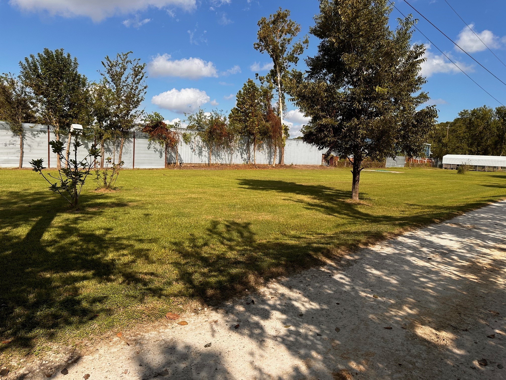 404 Gulf Bank Road Houston, TX 77037 - Photo 21 of 23 a view of a yard with a tree