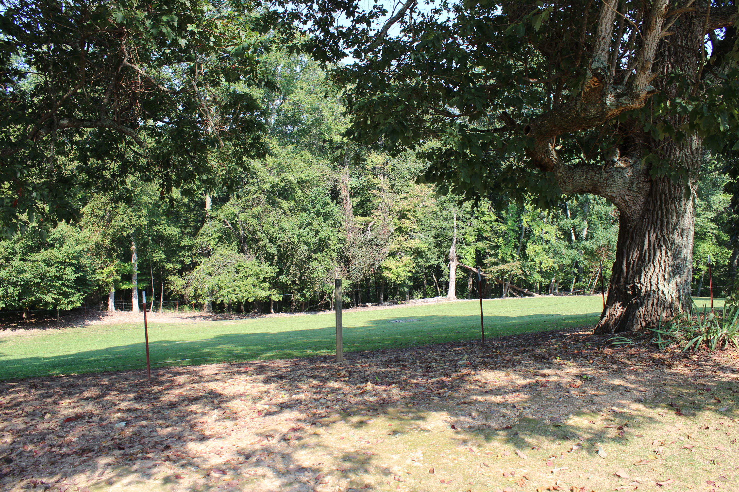 1229 Snodgrass Road New Tazewell, TN 37825 - Photo 18 of 39 IMG_5403