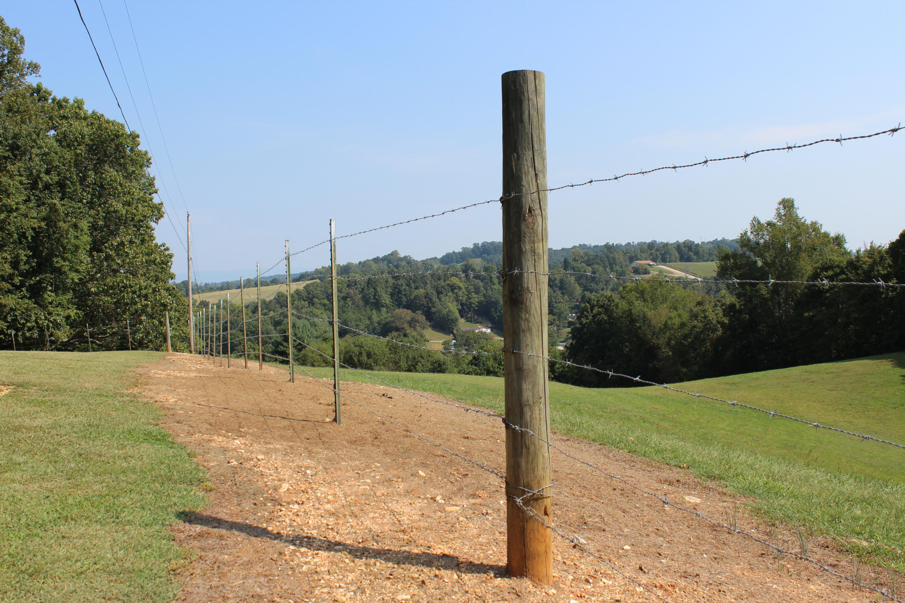 1229 Snodgrass Road New Tazewell, TN 37825 - Photo 20 of 39 IMG_5412