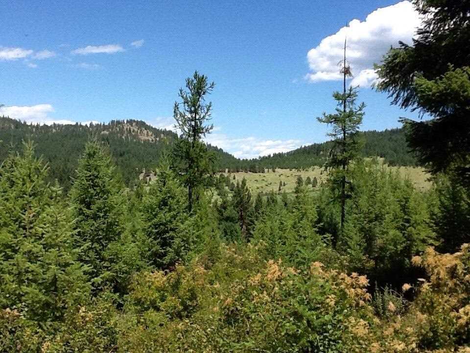 2371 D Scott Road Rice, WA 99167 - Photo 4 of 19