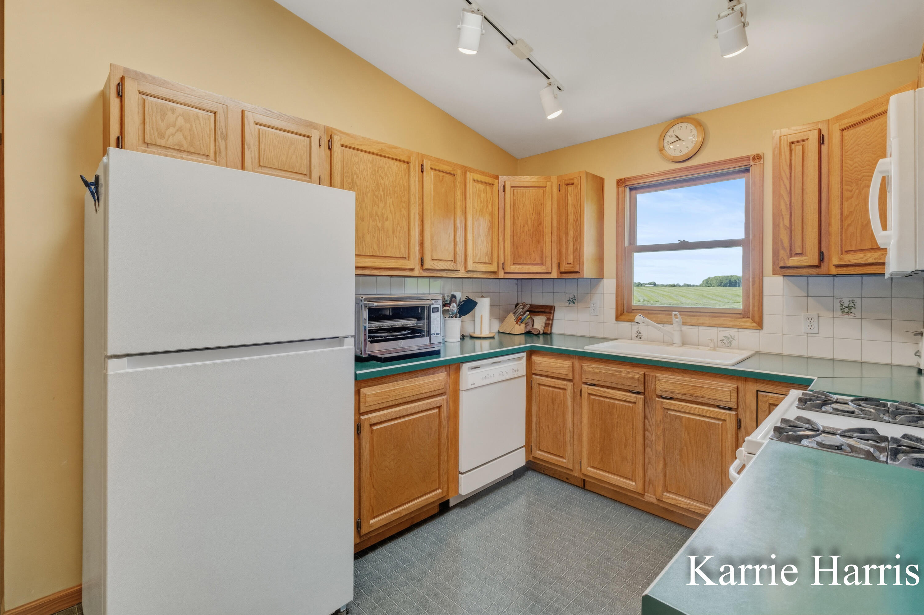 6048 Cedar Lake Road Southeast Sheridan, MI 48884 - Photo 9 of 39 Kitchen