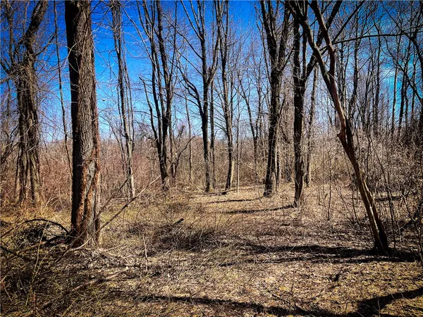 $39,900 | Mason Road, Mexico, NY 13114