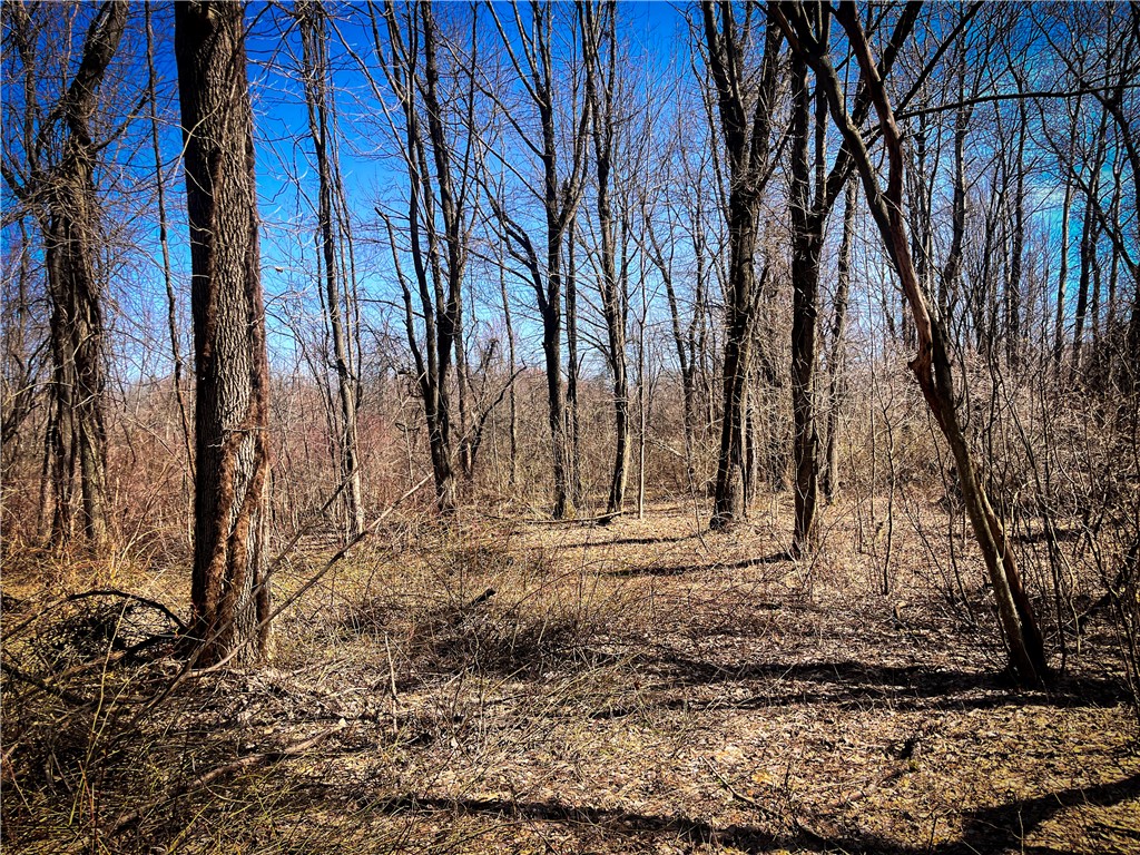 Mason Road Mexico, NY 13114 - Photo 12 of 38