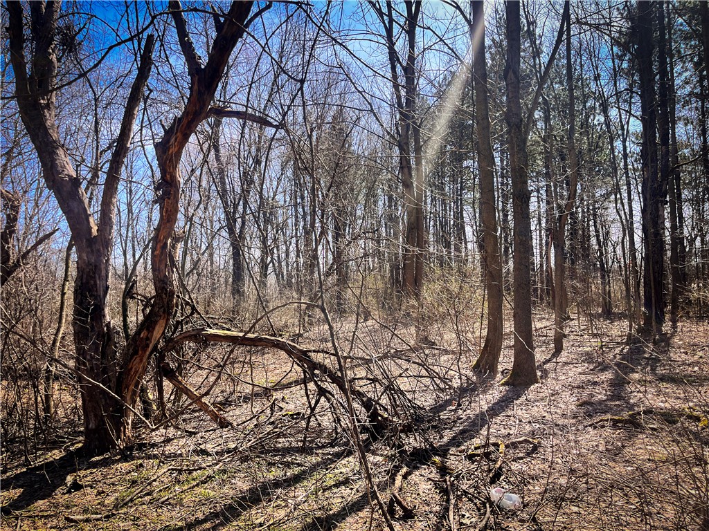 Mason Road Mexico, NY 13114 - Photo 13 of 38