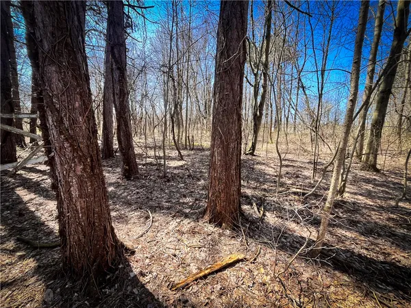 $39,900 | Mason Road, Mexico, NY 13114