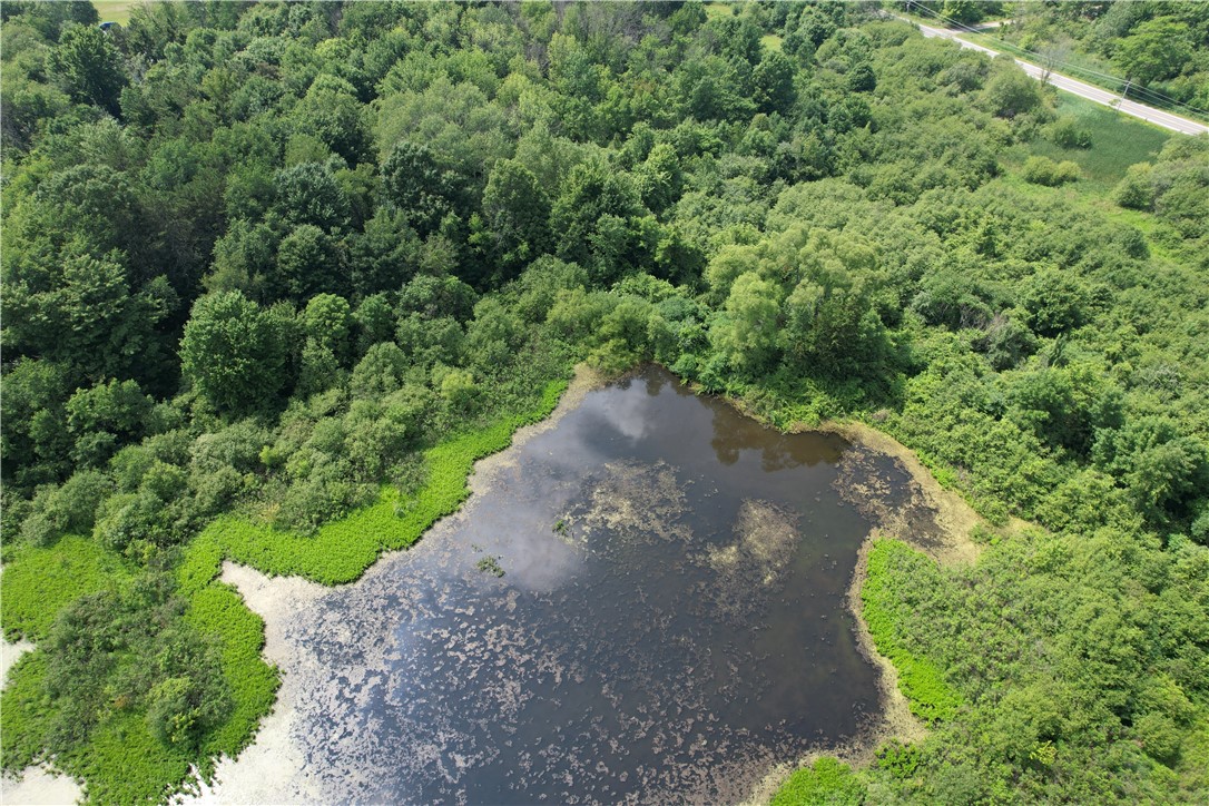 Mason Road Mexico, NY 13114 - Photo 15 of 38