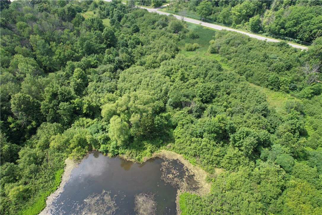 Mason Road Mexico, NY 13114 - Photo 16 of 38