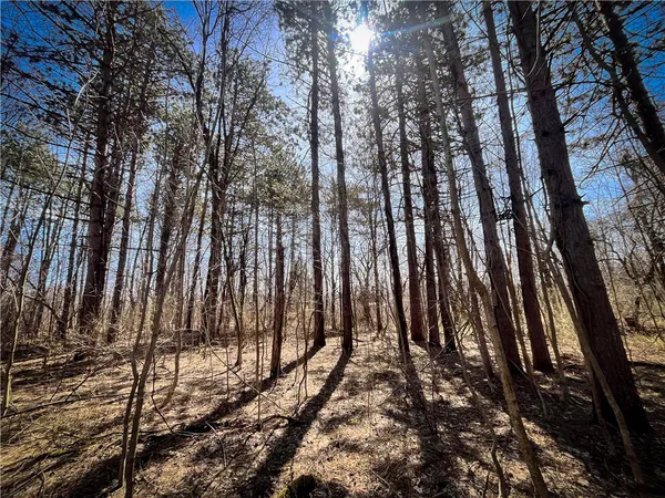 $39,900 | Mason Road, Mexico, NY 13114