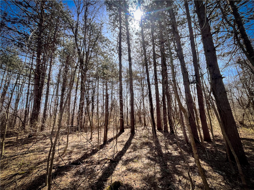 Mason Road Mexico, NY 13114 - Photo 17 of 38