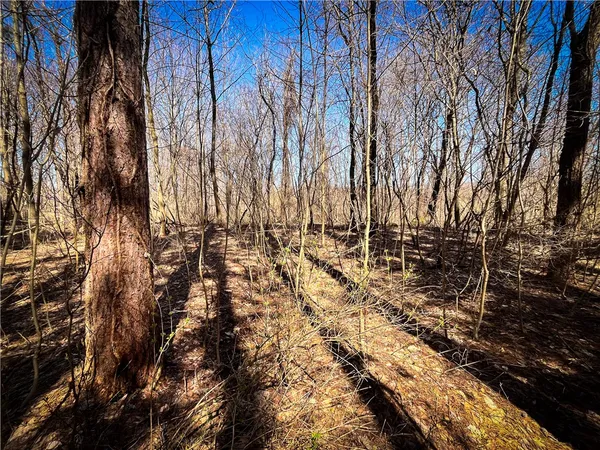 $39,900 | Mason Road, Mexico, NY 13114