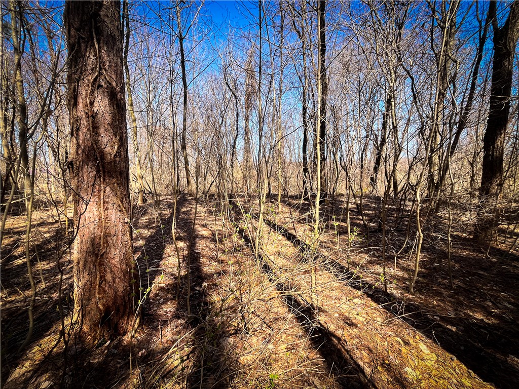 Mason Road Mexico, NY 13114 - Photo 18 of 38