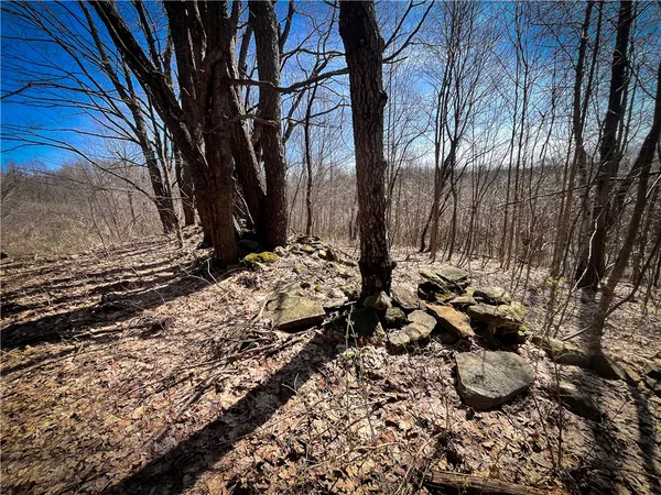 $39,900 | Mason Road, Mexico, NY 13114