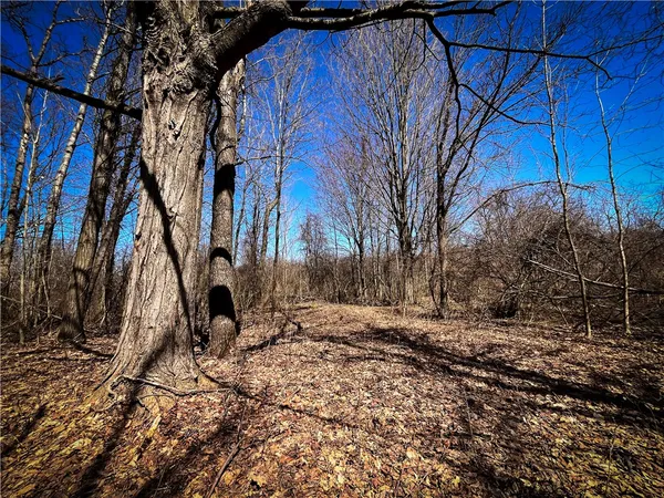 $39,900 | Mason Road, Mexico, NY 13114