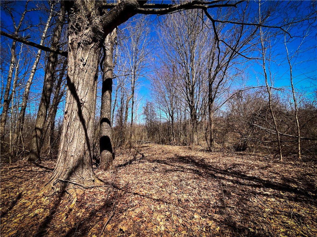 Mason Road Mexico, NY 13114 - Photo 23 of 38