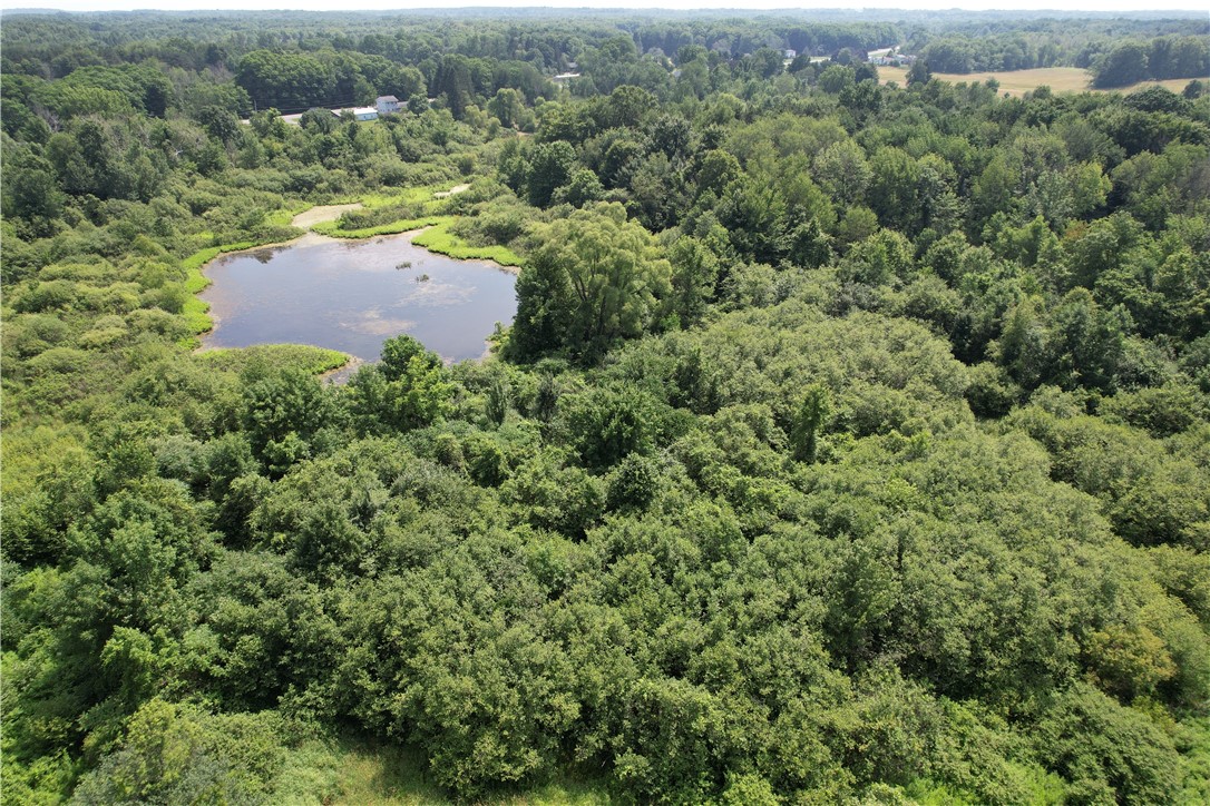 Mason Road Mexico, NY 13114 - Photo 24 of 38