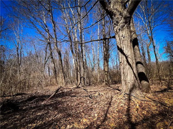 $39,900 | Mason Road, Mexico, NY 13114