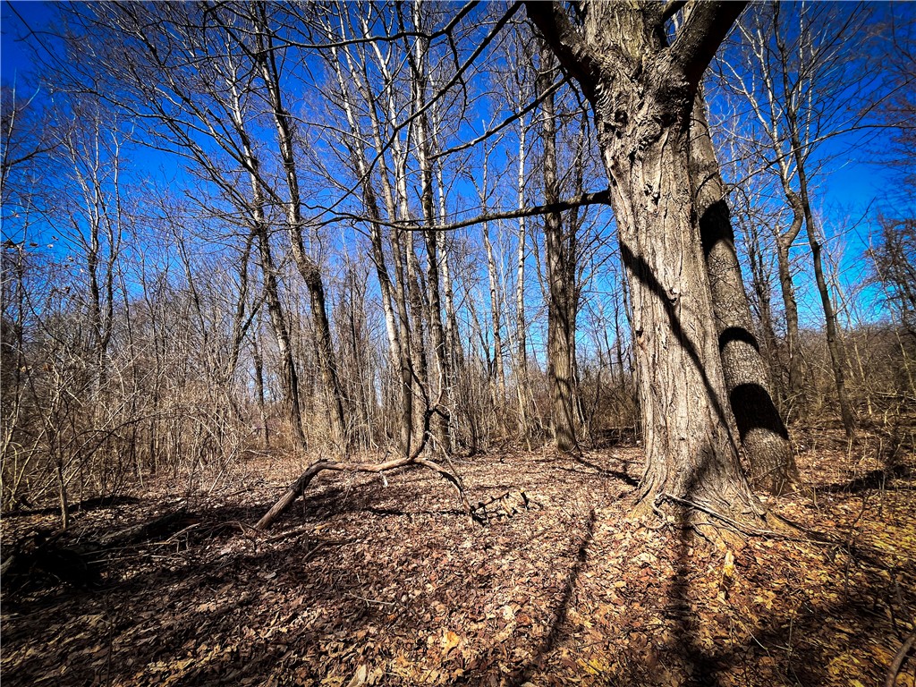 Mason Road Mexico, NY 13114 - Photo 26 of 38