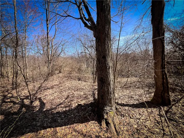 $39,900 | Mason Road, Mexico, NY 13114