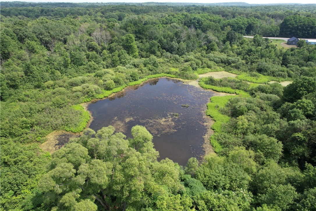 Mason Road Mexico, NY 13114 - Photo 3 of 38
