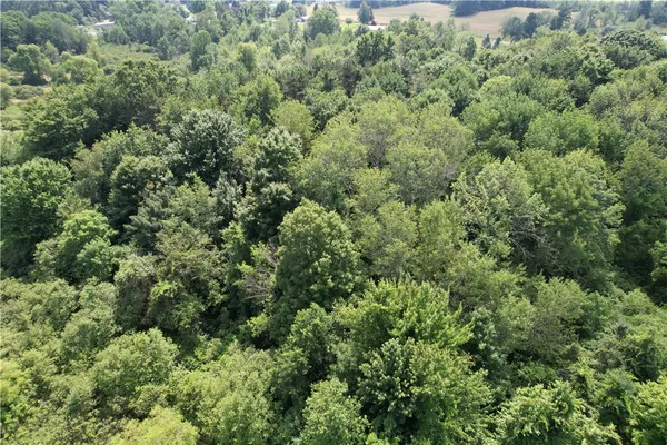 $39,900 | Mason Road, Mexico, NY 13114