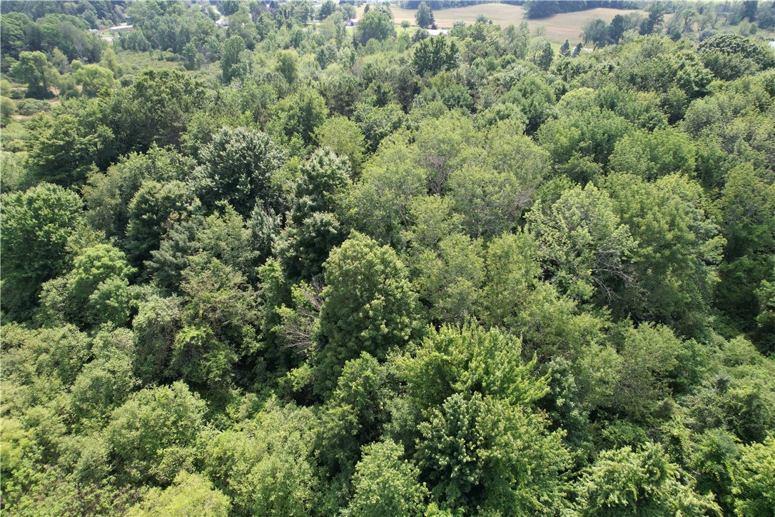 Mason Road Mexico, NY 13114 - Photo 5 of 38