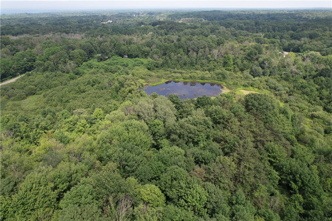 Mason Road Mexico, NY 13114 - Photo 10 of 38