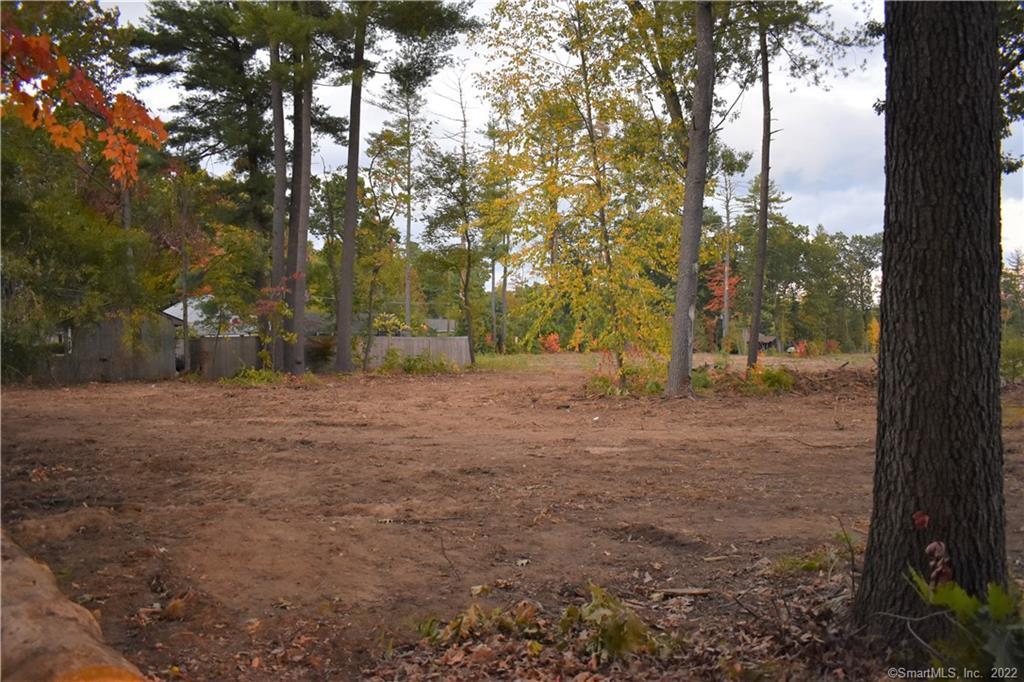 0 Birch Road West Suffield, CT 06093 - Photo 1 of 1