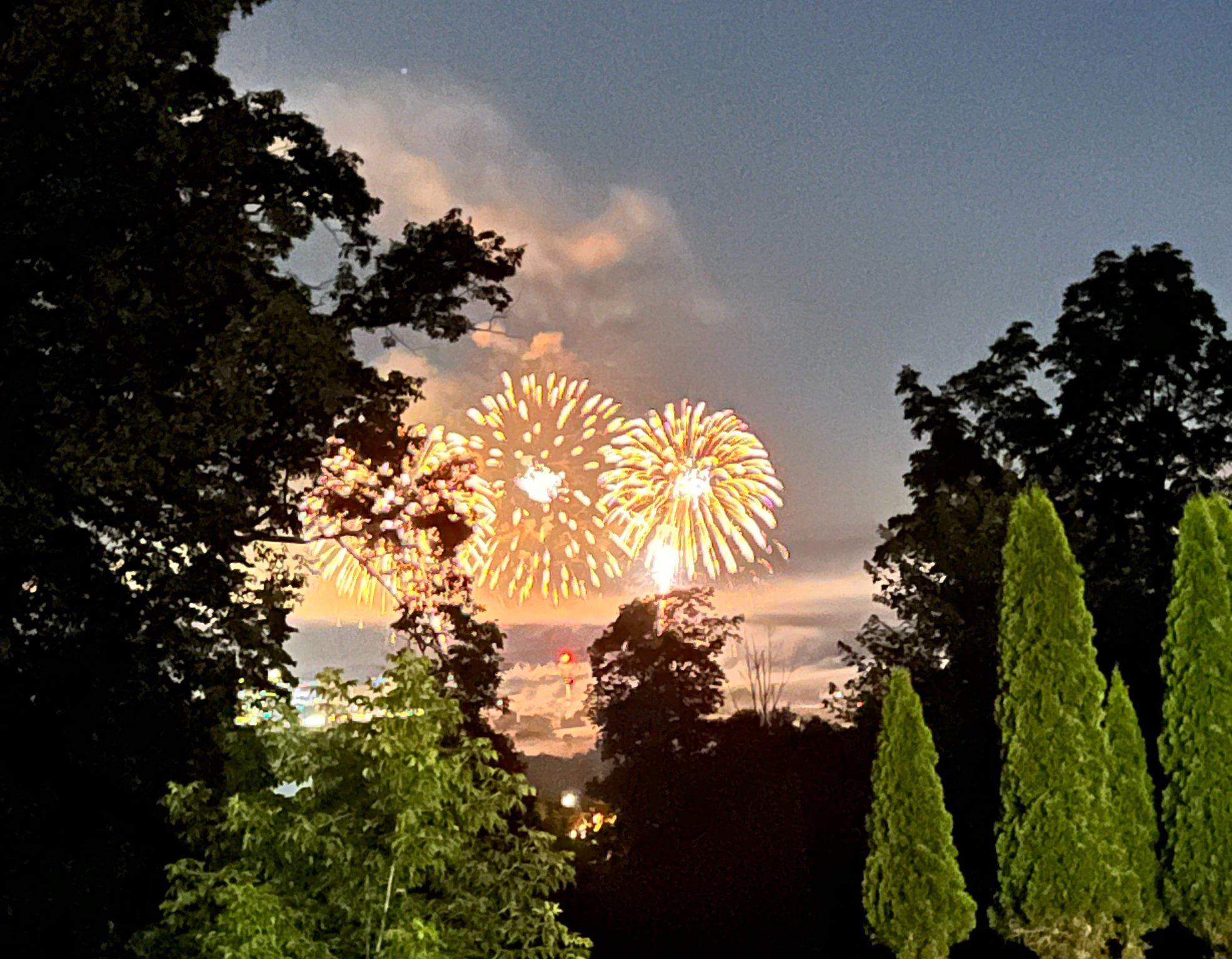321 Mount Nittany Road Lemont, PA 16851 - Photo 48 of 48 Colorful fireworks illuminate the night.