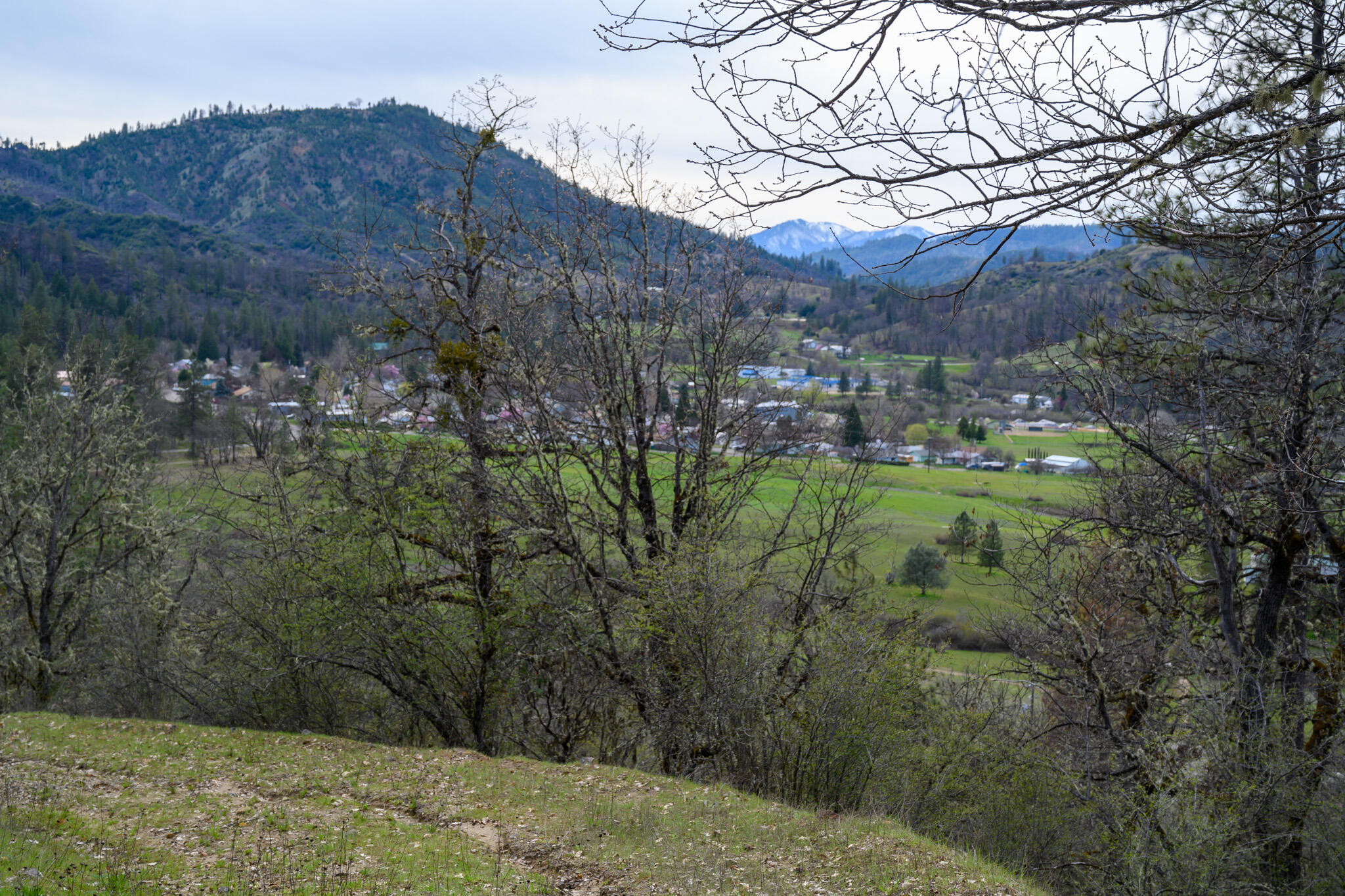 175 Gibson Drive Lewiston, CA 96052 - Photo 11 of 32 a view of a yard