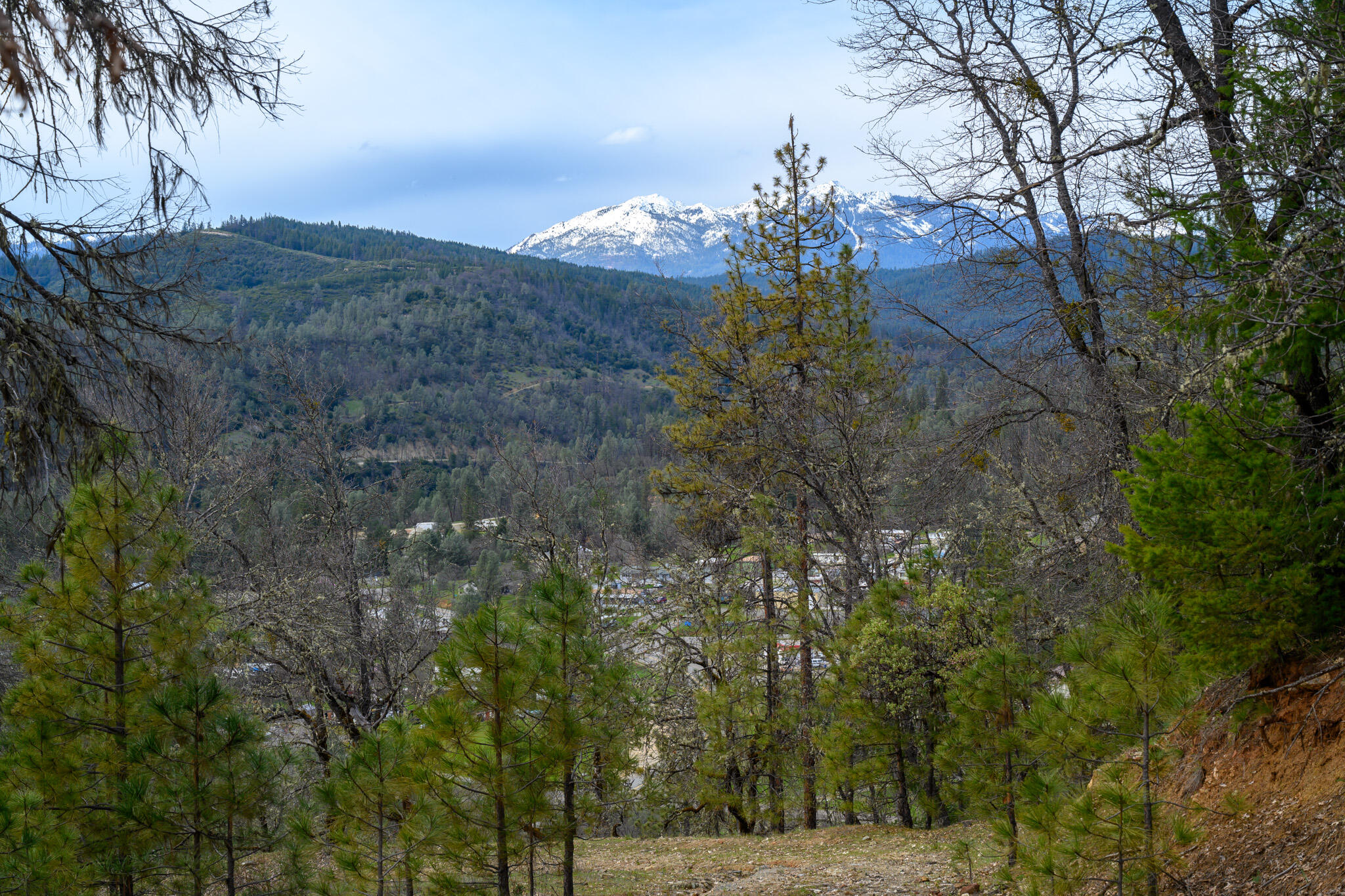175 Gibson Drive Lewiston, CA 96052 - Photo 14 of 32 a view of mountain view with trees in the background
