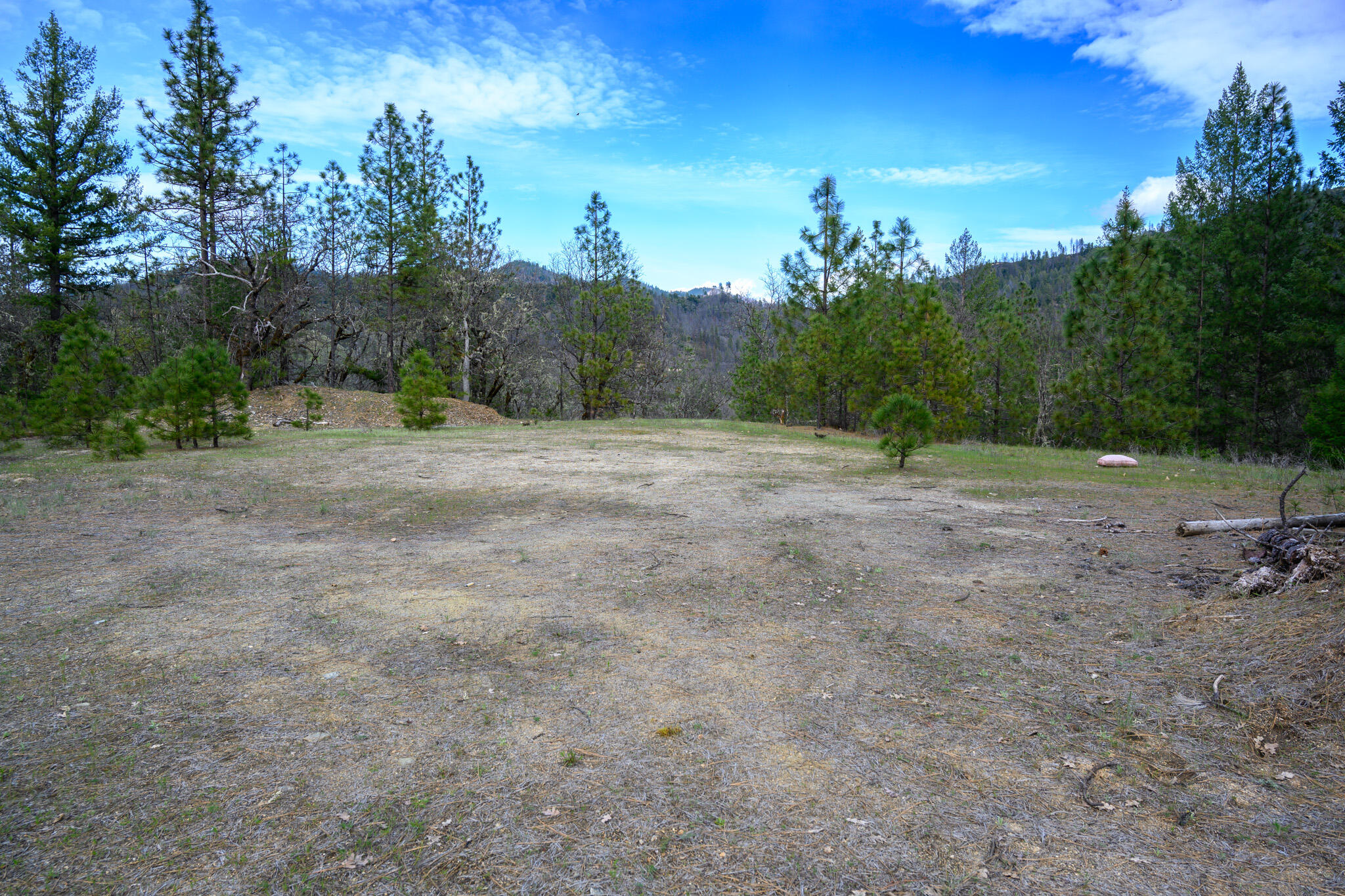 175 Gibson Drive Lewiston, CA 96052 - Photo 19 of 32 a view of dirt road with large trees