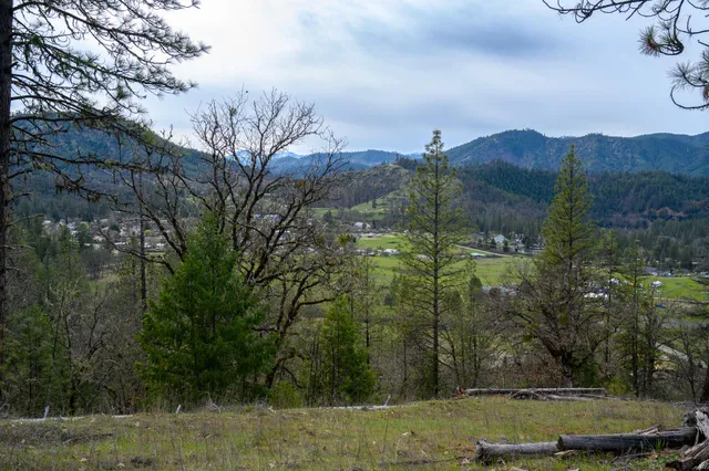 a view of a house with a mountain and a forest