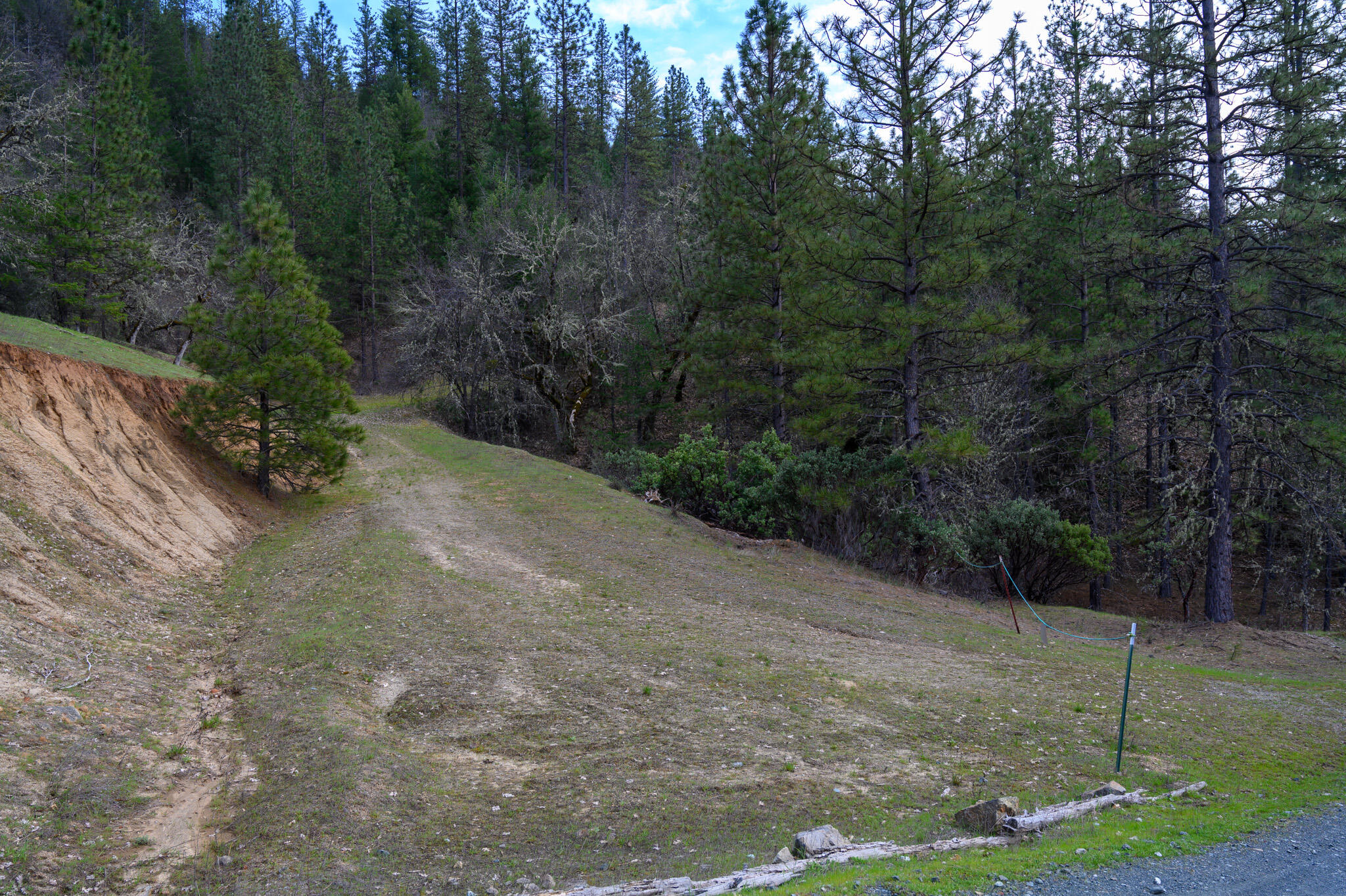 175 Gibson Drive Lewiston, CA 96052 - Photo 2 of 32 a view of a field with trees in the background
