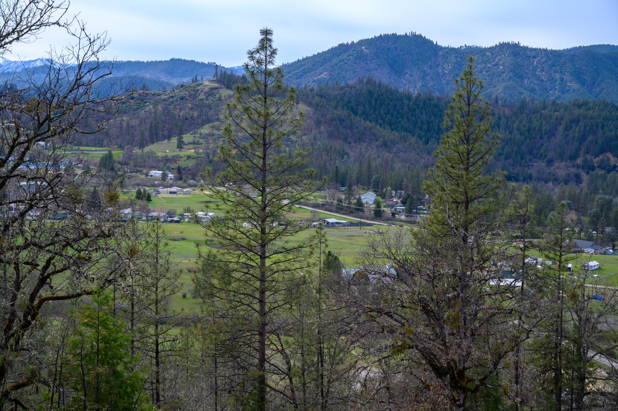 175 Gibson Drive Lewiston, CA 96052 - Photo 21 of 32 a view of a house with a mountain and a forest
