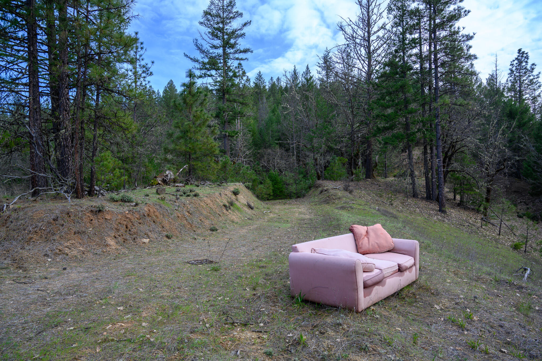175 Gibson Drive Lewiston, CA 96052 - Photo 22 of 32 a view of a backyard with table and chairs