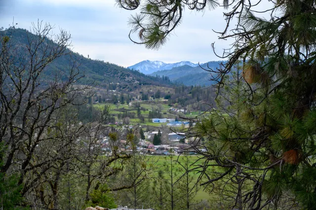 a view of a yard in a yard