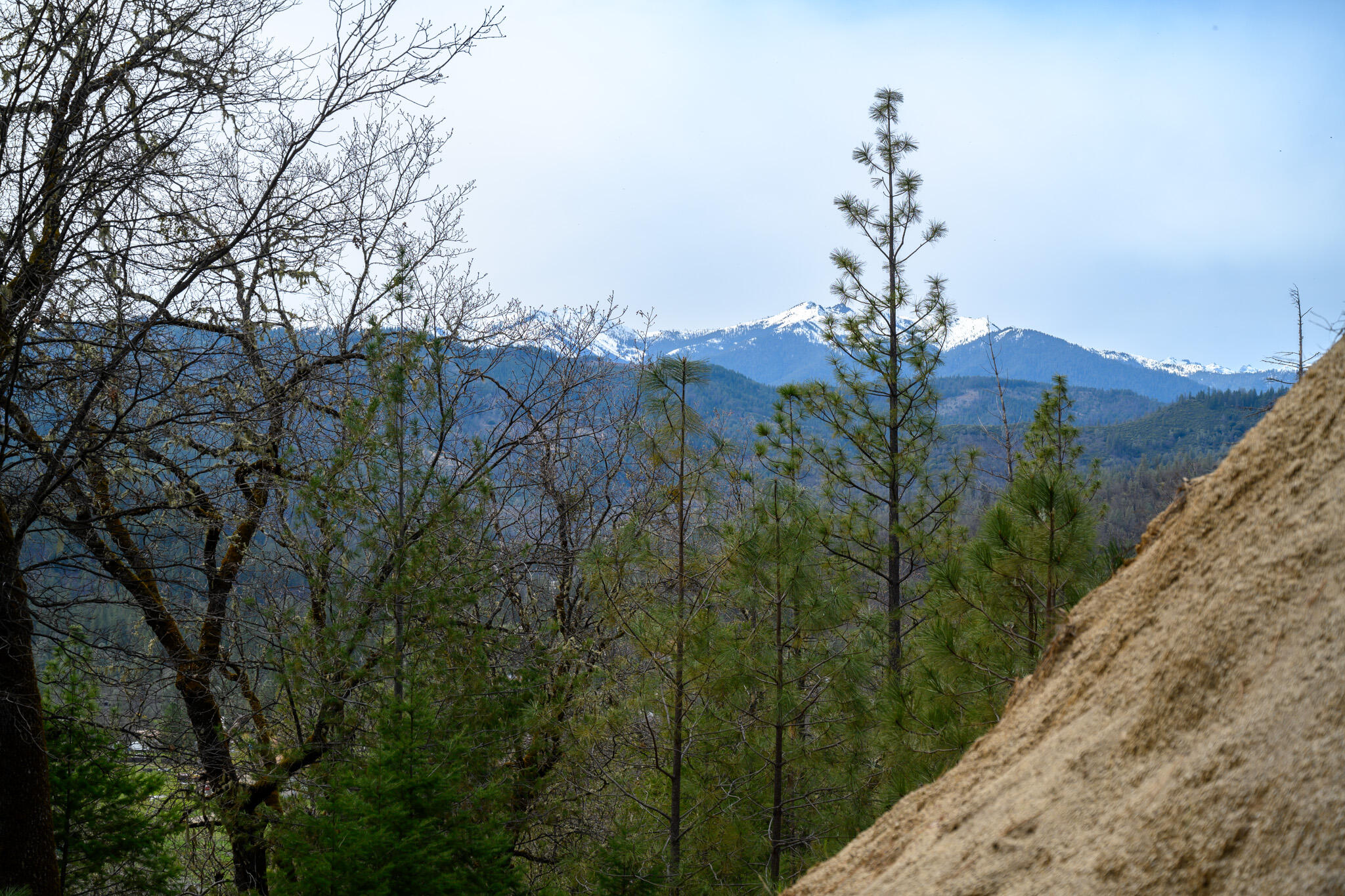 175 Gibson Drive Lewiston, CA 96052 - Photo 27 of 32 a view of a yard in a yard