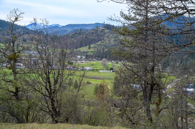 a view of outdoor space with a garden