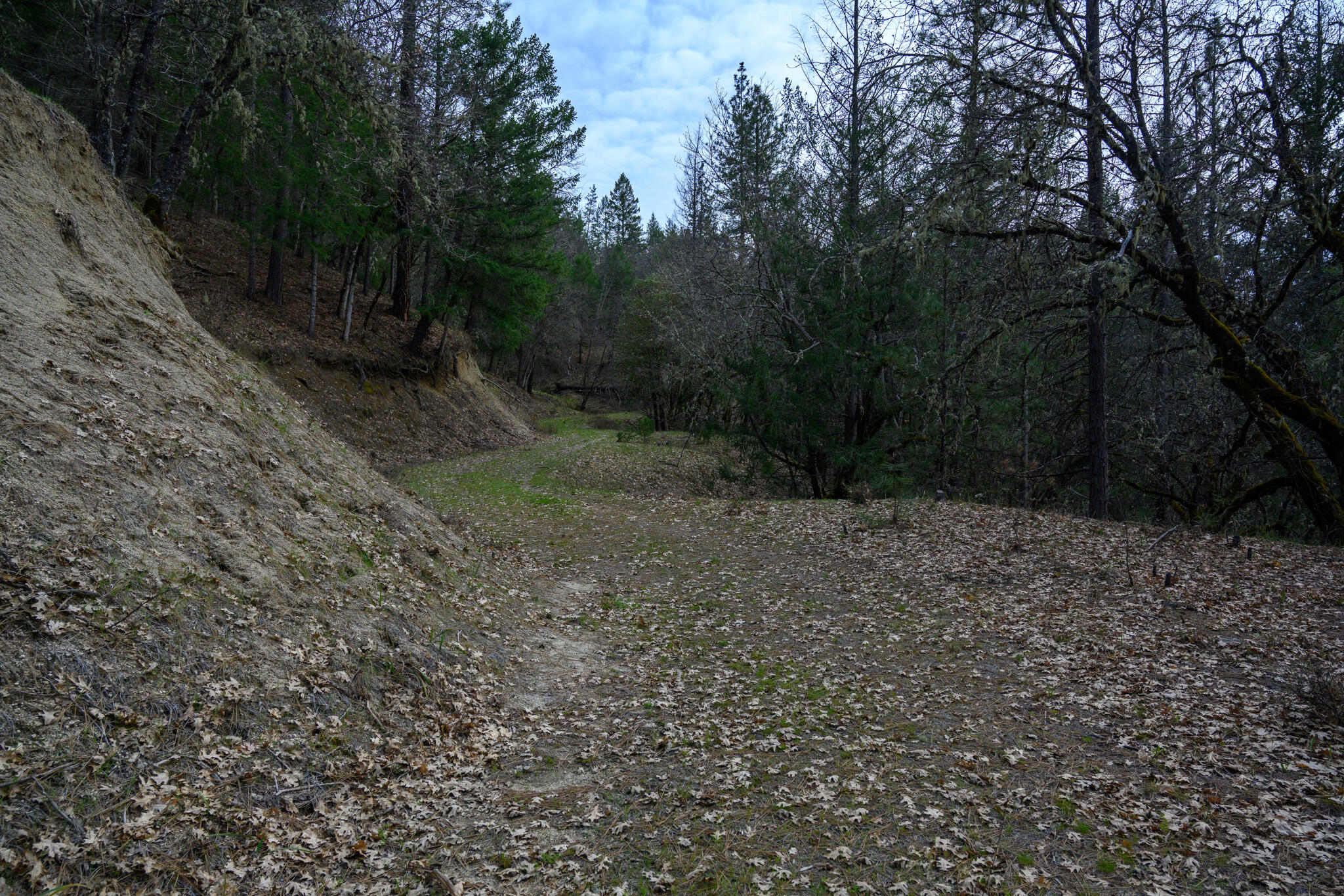 175 Gibson Drive Lewiston, CA 96052 - Photo 32 of 32 a view of a yard