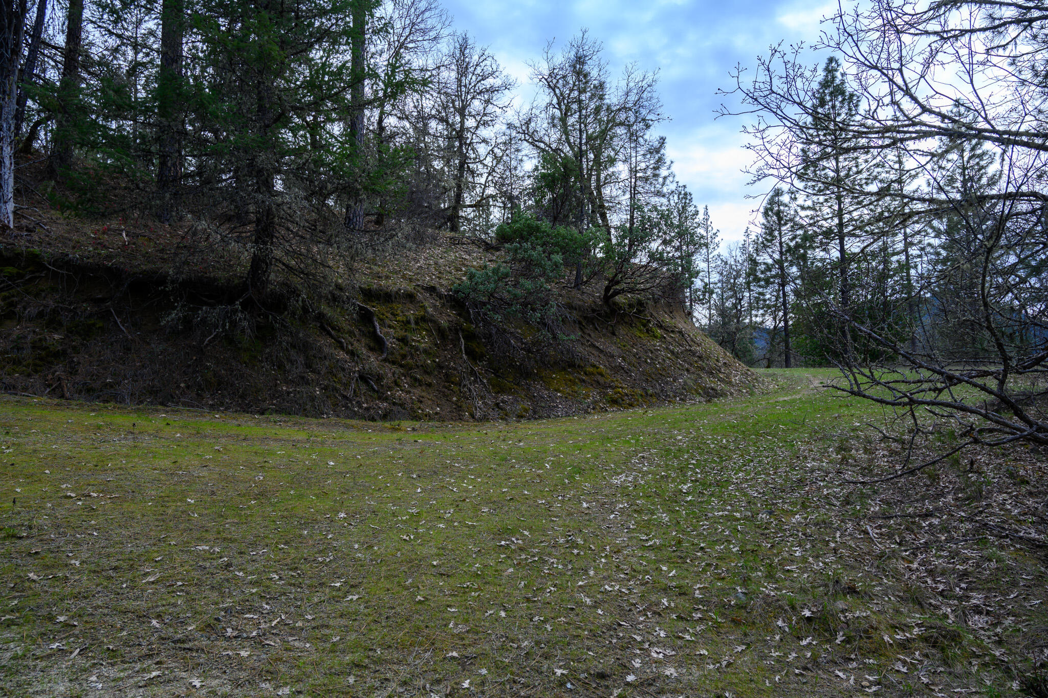 175 Gibson Drive Lewiston, CA 96052 - Photo 5 of 32 a view of a field with trees